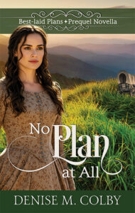 No Plan at All Cover